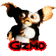   Gizmo